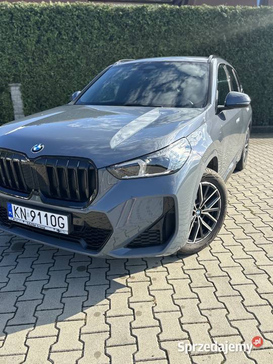 Bmw x1 sDrive 18i M sport Stary Sącz