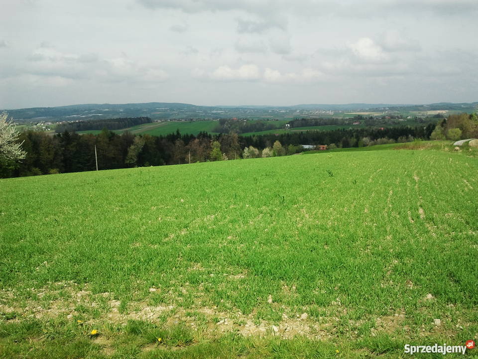 Działka budowlana 100a na sprzedaż