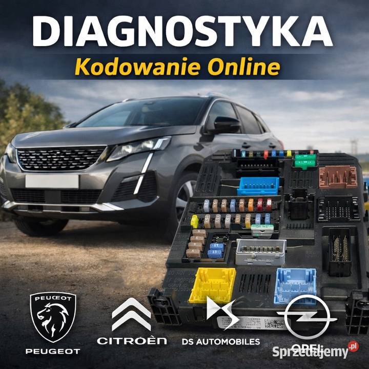 DIAGNOSTYKA KOMPUTEROWA PSA KODOWANIE ONLINE BSI mazowieckie