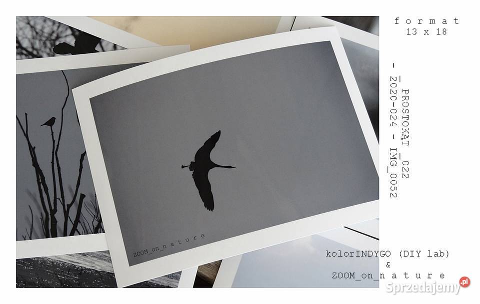 ZDJĘCIA przyrodnicze czIII Witnica