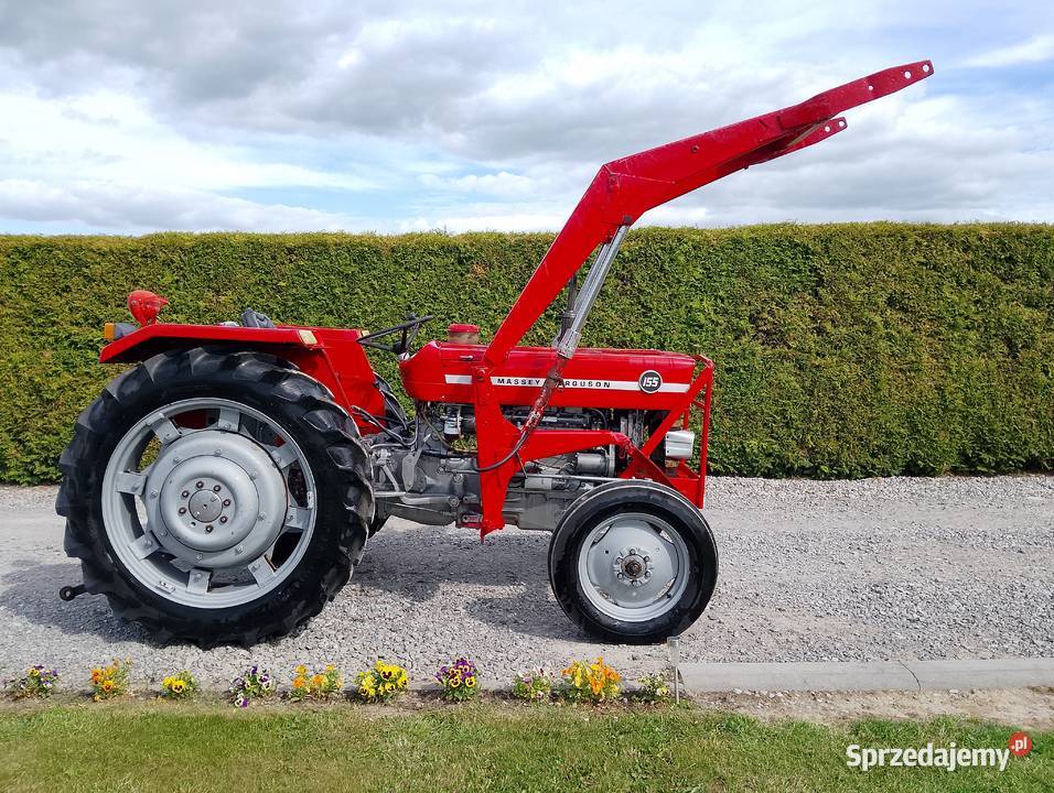 Massey Ferguson 155 lubelskie Tarnawa Mała