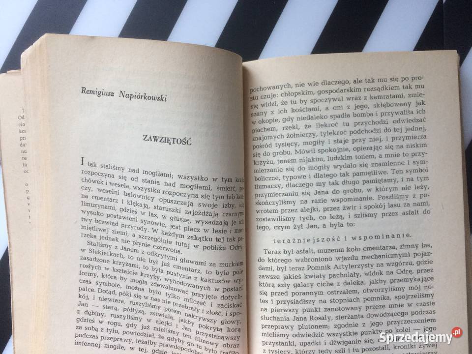 3708 W Dorzeczu Odry Antyki, Sztuka, Kolekcje Szczecin