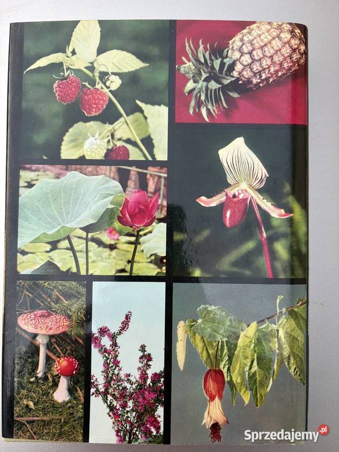 Wielki atlas roślin F A Novk Białobrzegi sprzedam