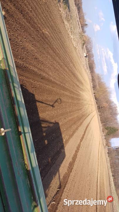 Siewnik zbożowy amazone d8 3m Pełkinie