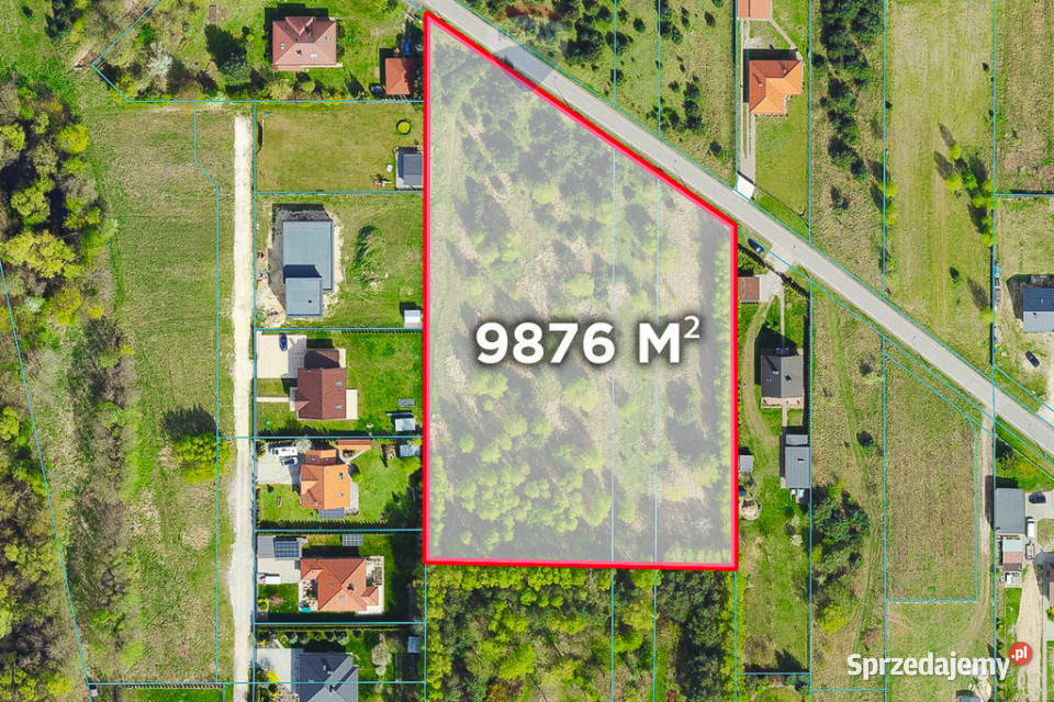 Duża działka 9876 m lesie Pabianic Jadwinin sprzedam