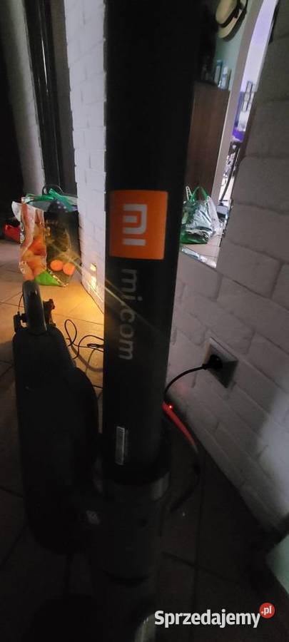 Hulajnoga elektryczna Pro 2 mało używana Stopnica