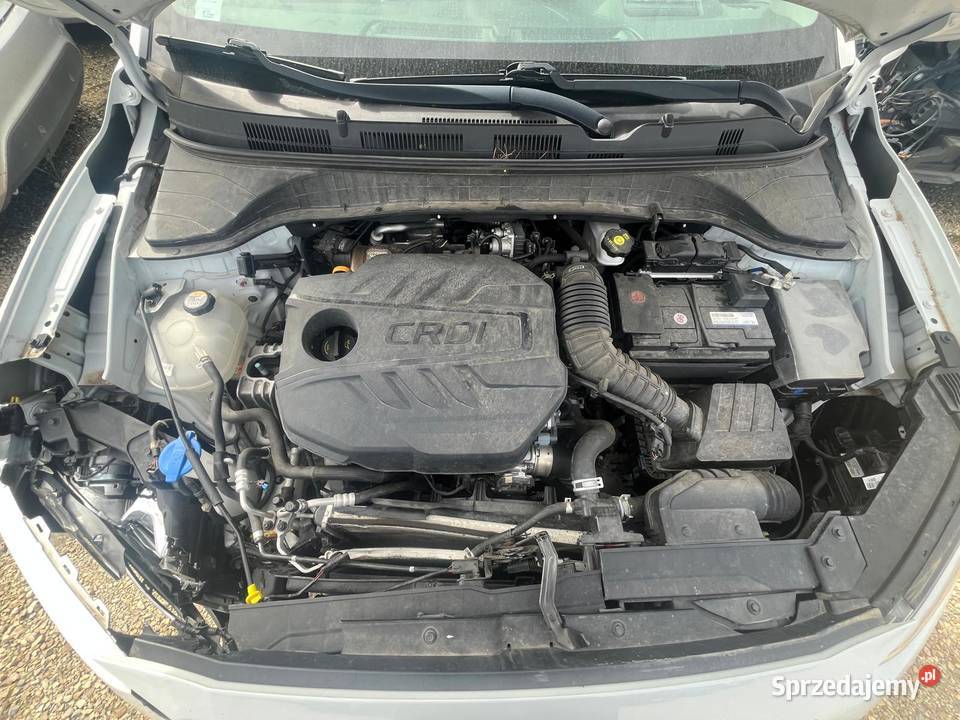 HYUNDAI Kona 16 CRDi 136 Executive FL280 biały Katowice