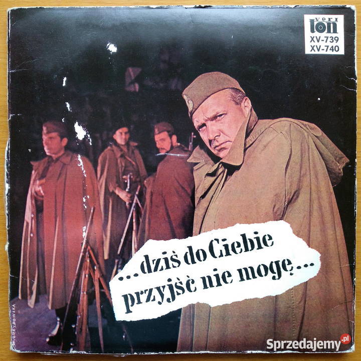 Płyty winylowe Dziś do przyjść nie mogę płyta winylowa