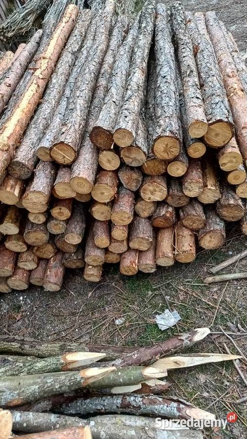 Kołki słupki ogrodzeniowe sosnadąb Grębków