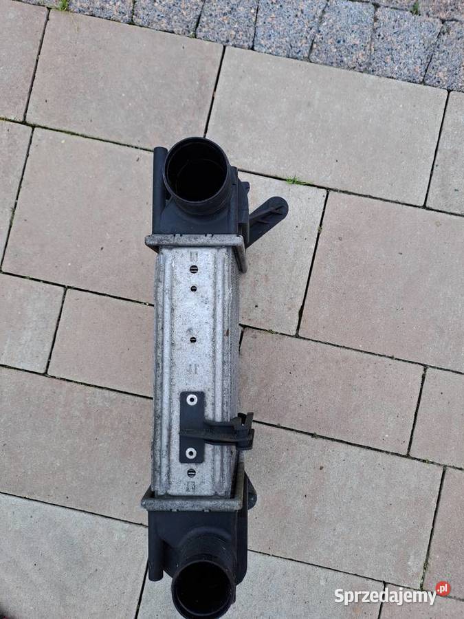 Renault Clio Modus intercooler 8200471885 podkarpackie sprzedam