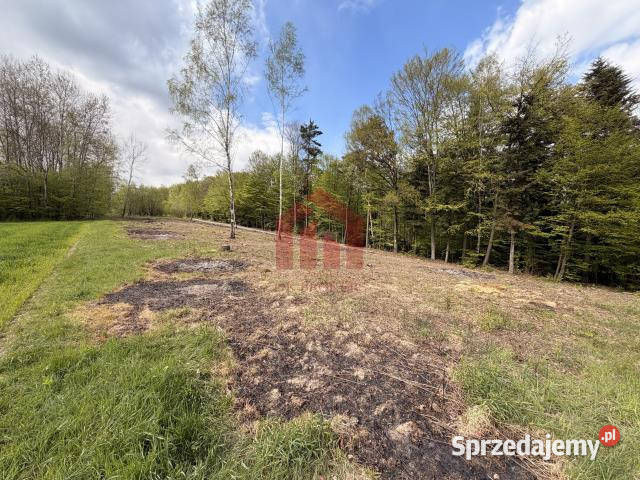 Działka 600m2 Zagórze