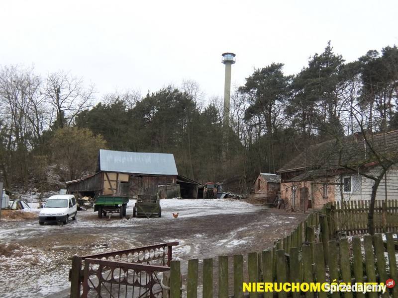 Na sprzedaż gospodarstwo Krobielewko Krobielewko