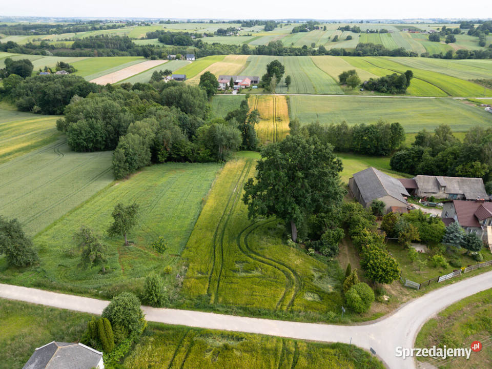 Ustawna działka z WZ 8300m2 Czajęcice budowlana sprzedam
