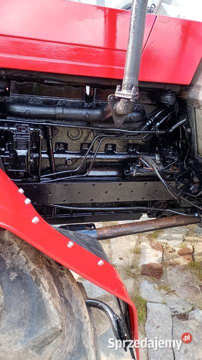 Zetor 12045 Tczewskie Łąki