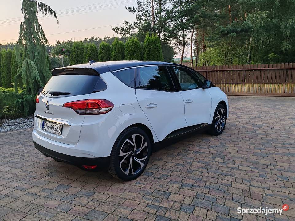 Scenic iv 2020r Kolonia Zawada