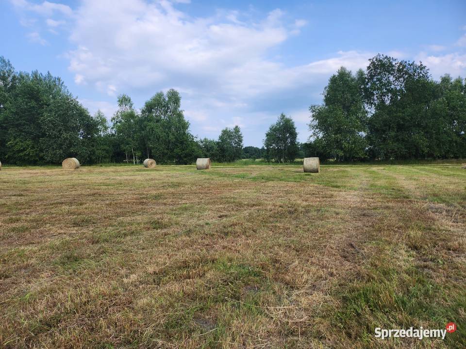 baloty siana 130140 Szklary Dolne