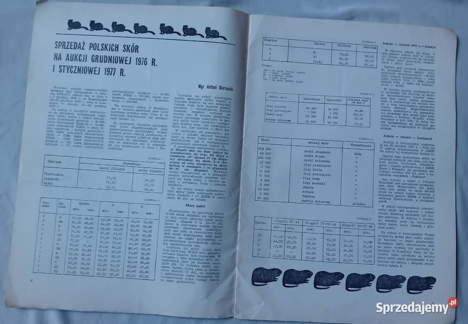 Hodowca Drobnego Inwentarza 4 1977 r Koźminek