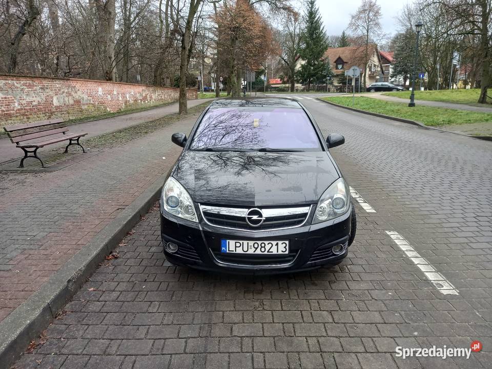 Opel Signum 19cdti150 1900cm3 Puławy