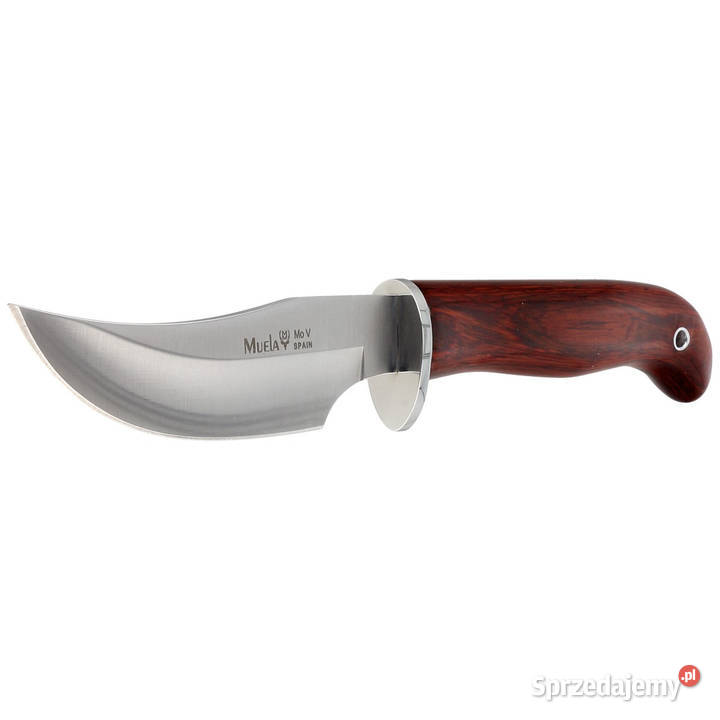 Nóż Muela Coral Wood Satin X50CrMoV15 DP10R