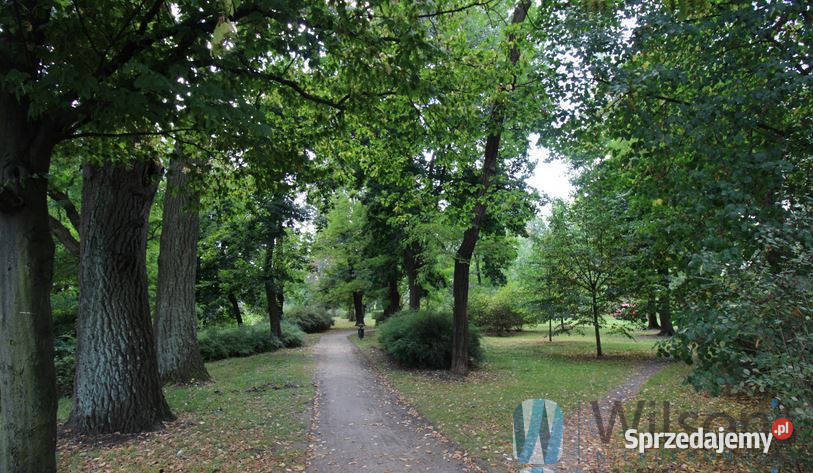 Do sprzedaży mieszkanie Wrocław 549m2 3 pokoje dolnośląskie