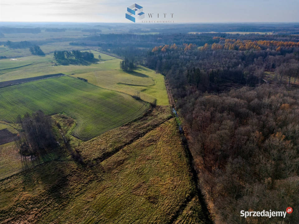Grunt Jędrychówko 53400m2 gaz