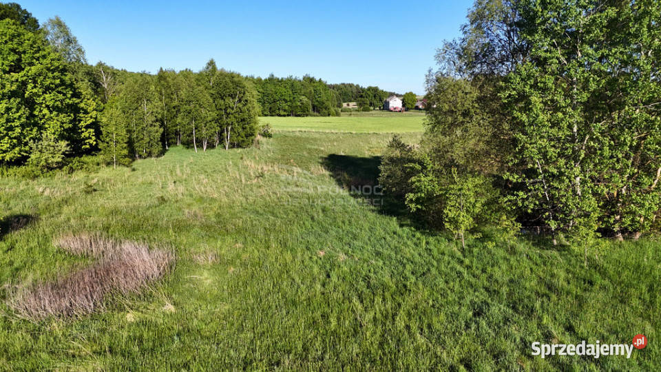 Działka inwestycyjna 256 ha GrabnikKrasnobród inwestycyjna lubelskie Grabnik