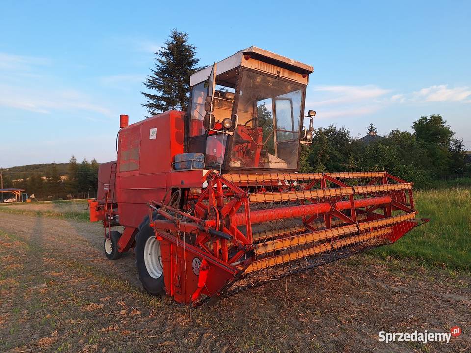 BIZON ZO56 Bizon Kępie