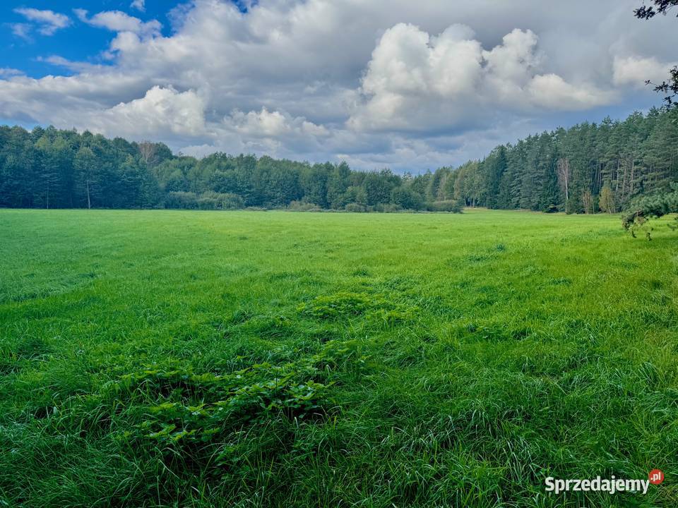 Wyjątkowa działka 242 ha wśród zieleni Cisza Drygały