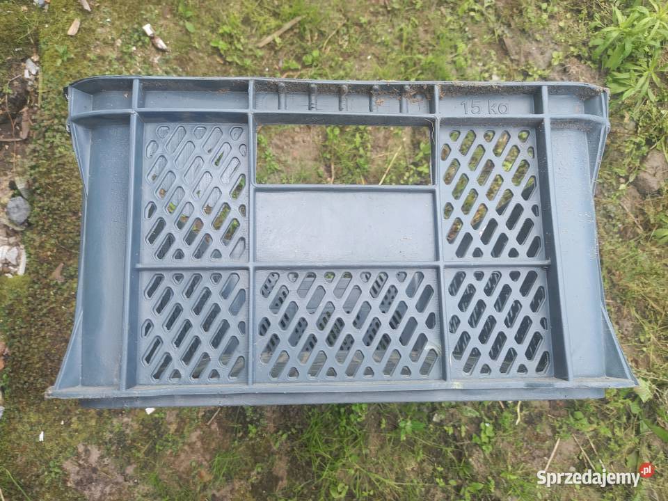 Skrzynka Skrzynki Plastikowa 15 Używane 60X40X22 świętokrzyskie Staszów