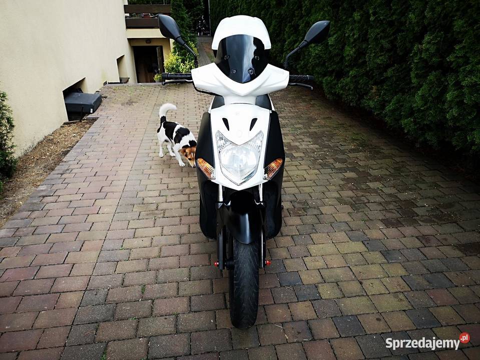 KYMCO AGILITY 150 09r italmotopila benzyna Kymco Piła