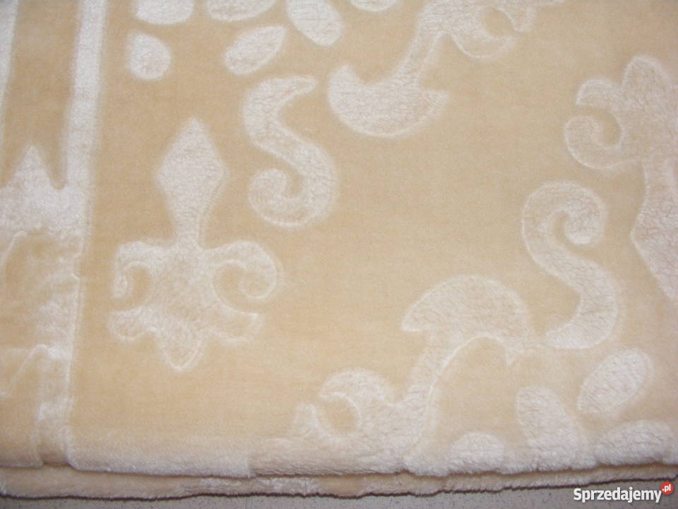 kocenarzuty pomorskie Gdańsk