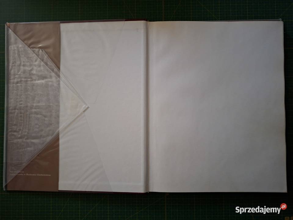 Zamki i zamczyska Adam Bujak Kraków