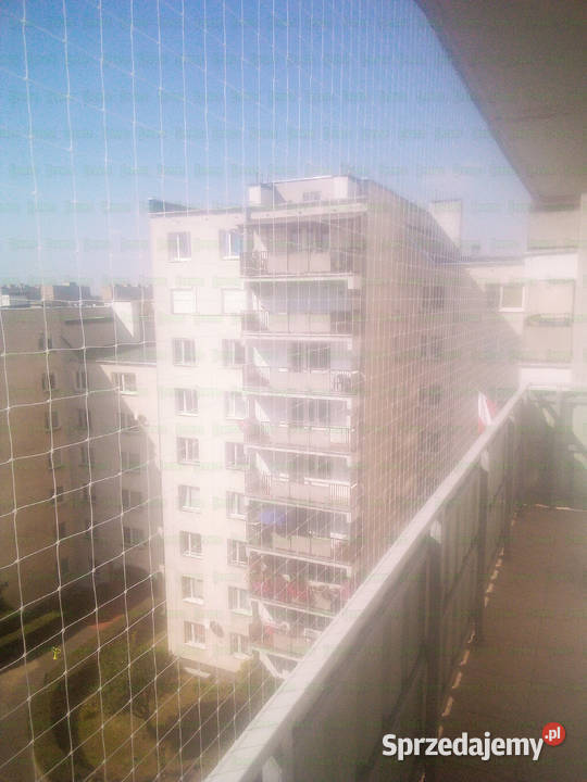 BEZINWAZYJNY Montaż siatki na balkon kota Warszawa usługa dla zwierząt