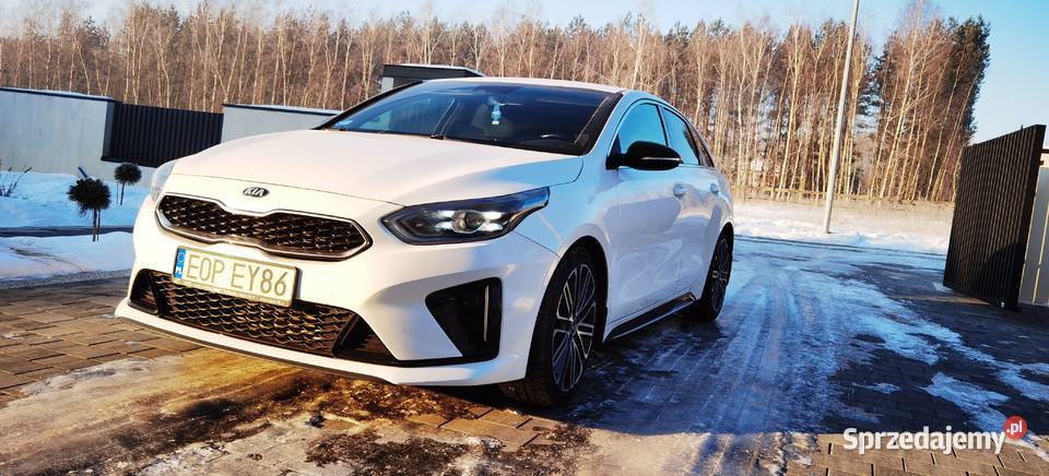 Kia Proceed