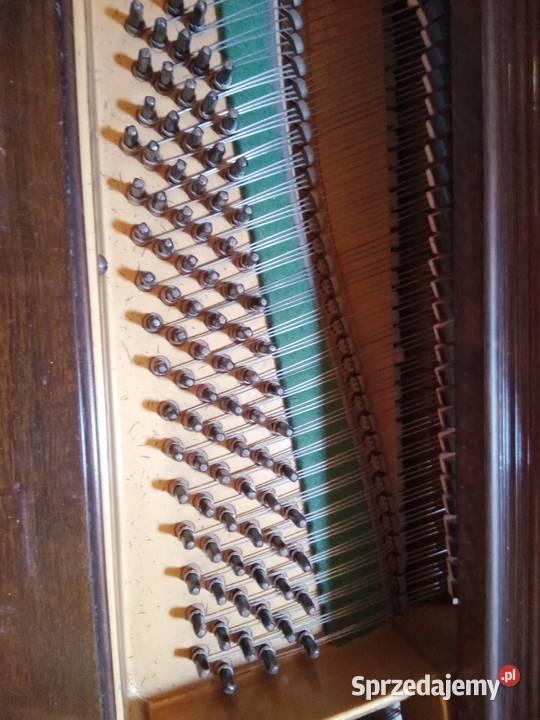 Fortepian Challen 88 klawiszy 142 Instrumenty Poznań sprzedam