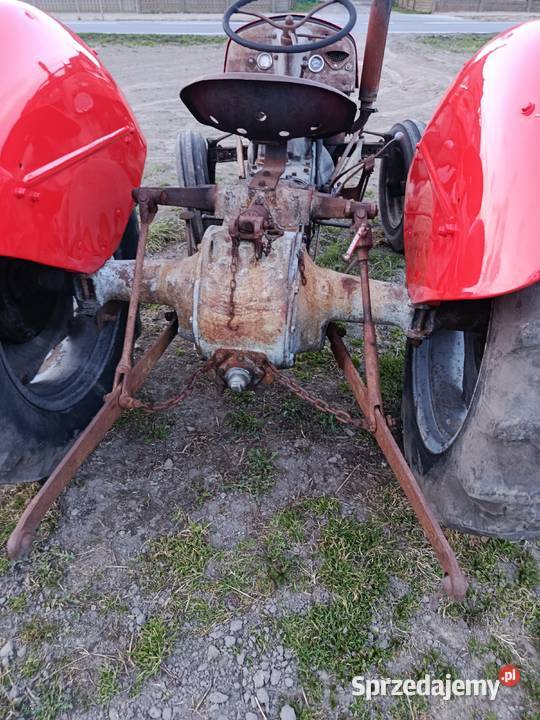 Ferguson tea 20 Kalisz