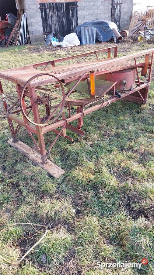 Maszyna do obierania sortowania cebuli Grabów sprzedam