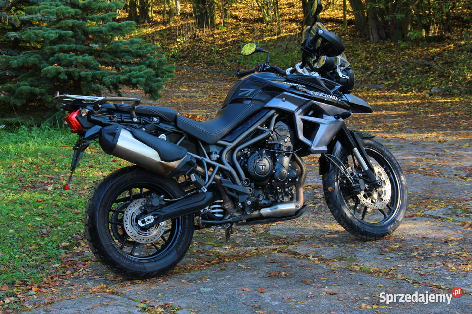 Triumpt Tiger 800XRx Gniew