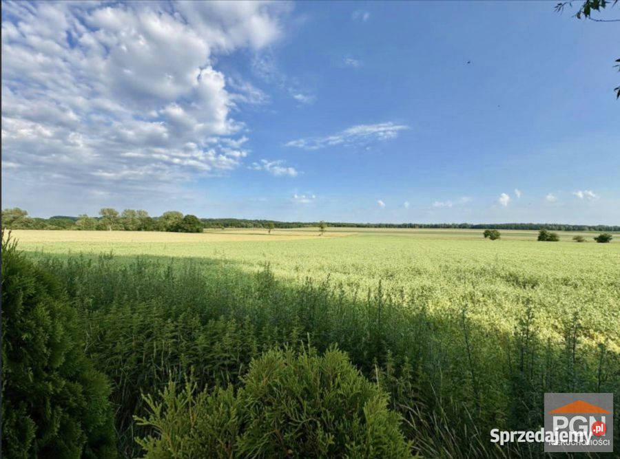 Ogłoszenie działka Gryfice 1500m2 zachodniopomorskie