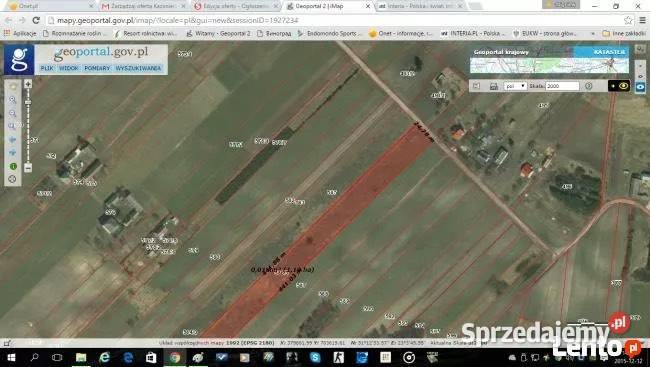 Działka Dąbrowa 5863 Działka rolno budowlana Nieruchomości