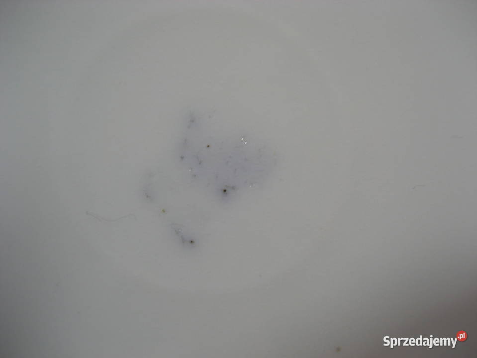 Przedwojenna Patera CT Stary Zdroj 1920 r Porcelana i szkło Warszawa