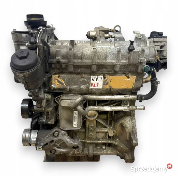 SILNIK BLF VW Touran Golf V Eos Jetta III 16 FSI osobowe Chełm