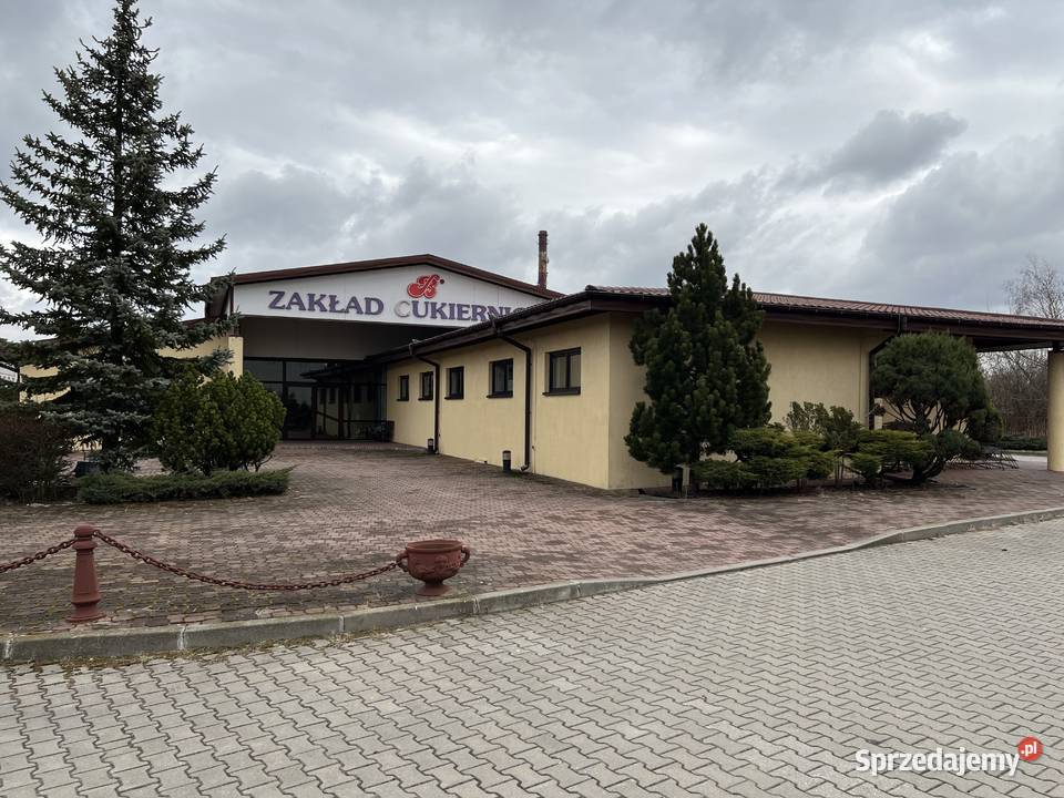 sprzedam nieruchomość łódzkie Zduńska Wola