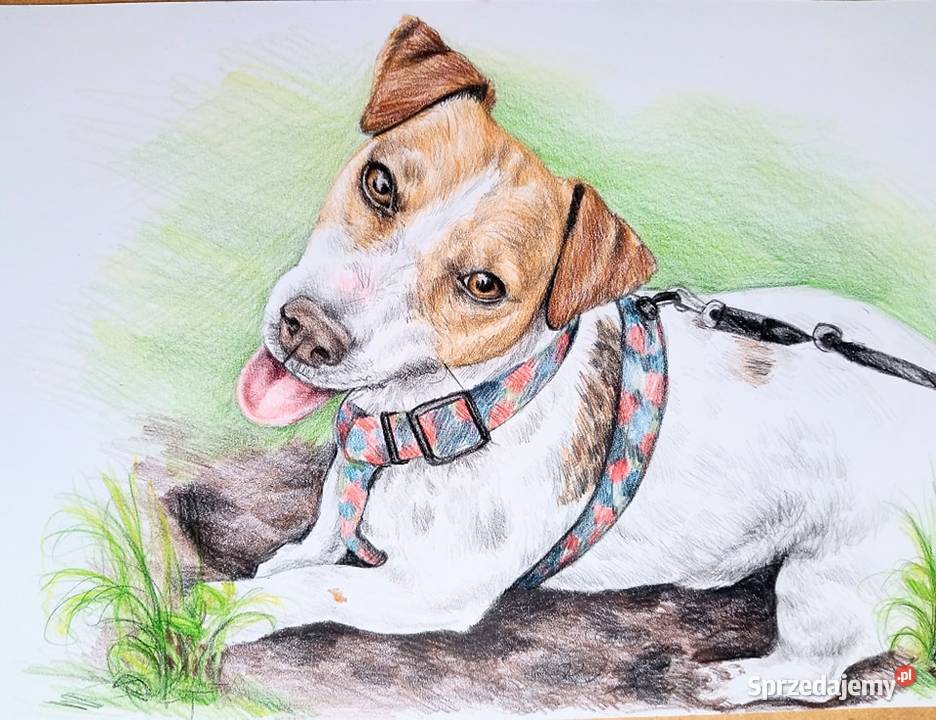 Portrety i karykatury ze zdjęć Gdańsk