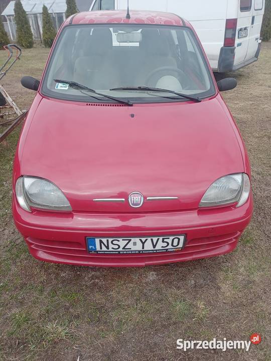 Seicento 600 Kołodziejowy Grąd