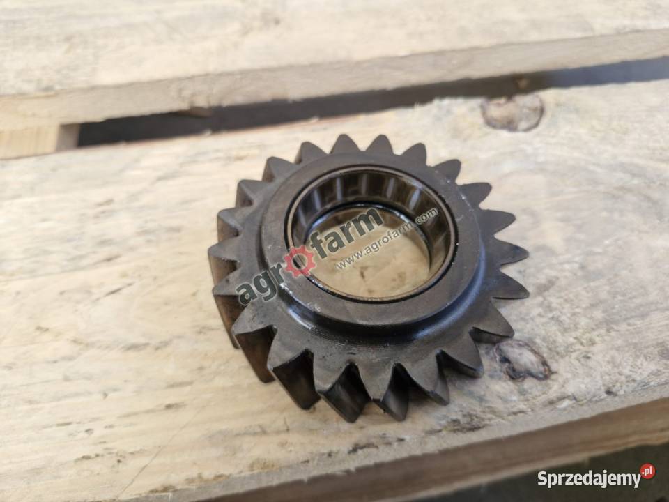 Koło zębate Massey Ferguson 8110 8210 8250 Byków