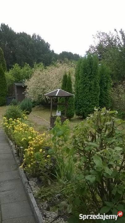Ogródek Działkowy w MysłowiceLarysz na sprzedaż Mysłowice