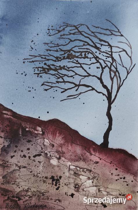 Akwarela Akwarelka Obraz pt Wiatr