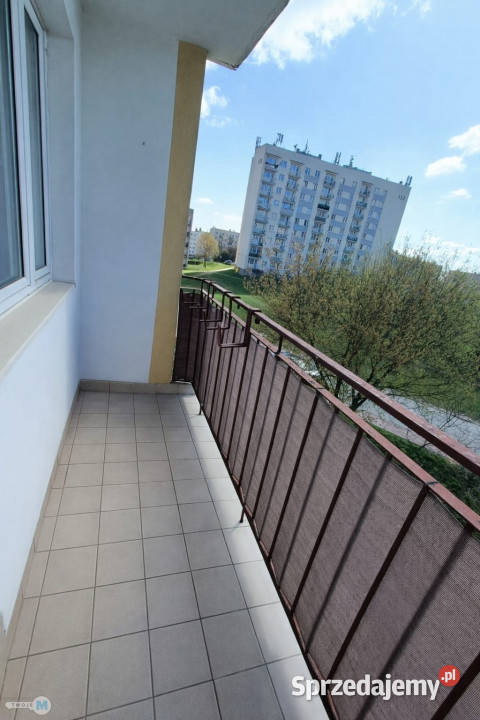 Mieszkanie 40m2 Kielce Rok budowy 1979 świętokrzyskie