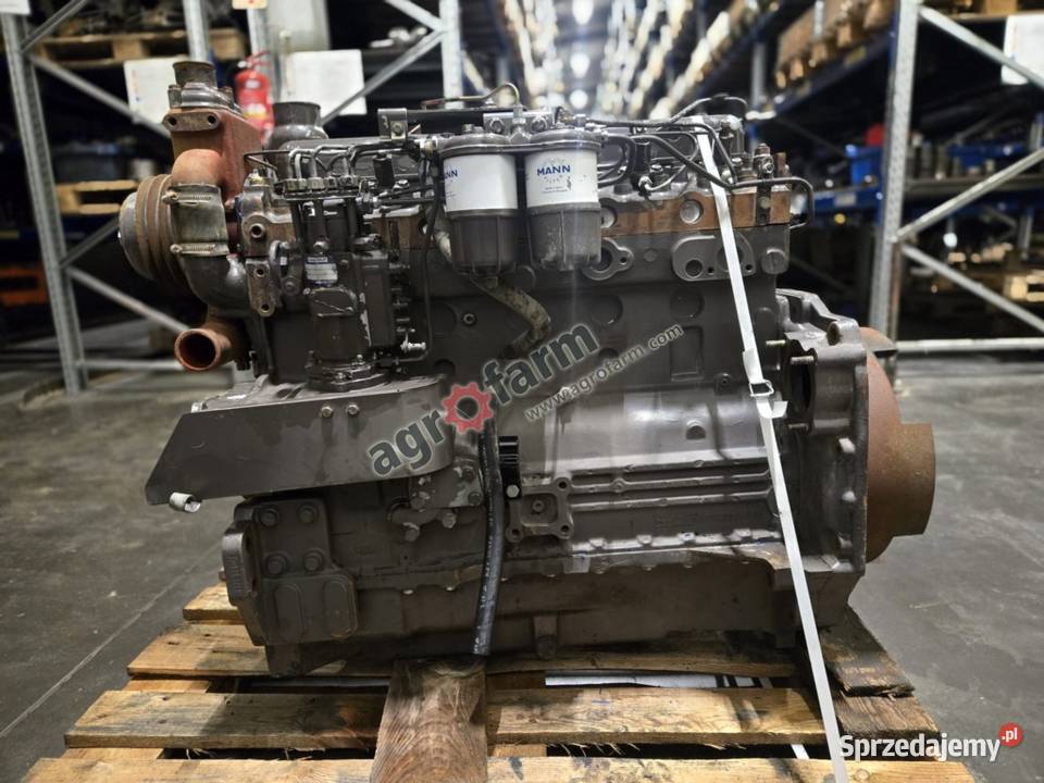 Silnik Massey Ferguson 3080 Perkins A6354 Byków